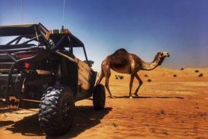 Cheap-Buggy-Rentals-Services-in-Dubai